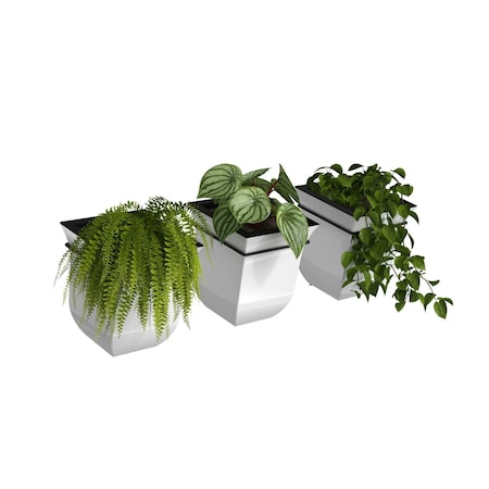 Mayne Valencia 8in Wall Mount Planter - White 3-Pack 3871-W